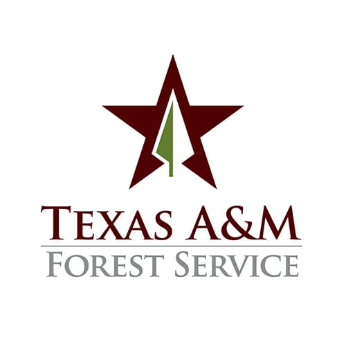 Texas A&M Forest Service